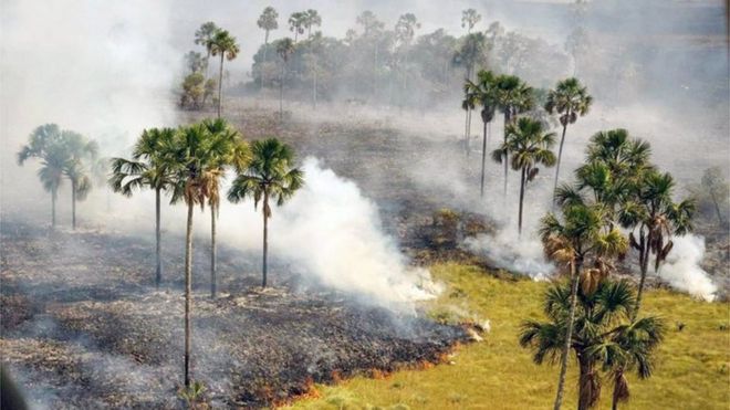 Brazils Chapada Dos Veadeiros Park Ravaged By Fire Bbc News