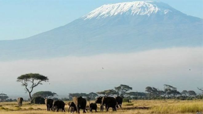 Kilimanjaro