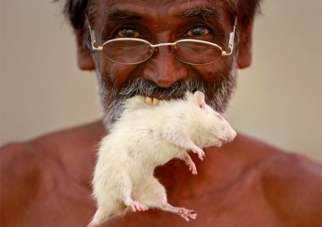 Фермер из южного штата Тамил Наду позирует, когда он кусает мышь во время акции протеста, требующей от федерального правительства пакета помощи от засухи, в Нью-Дели, Индия, 27 марта 2017 г.