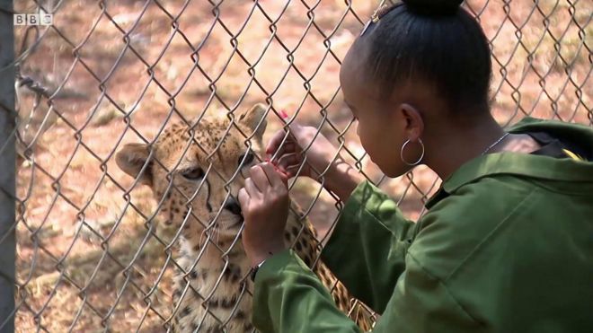 川を清掃 赤ちゃんなど12人の死体を続々発見 ケニア cニュース