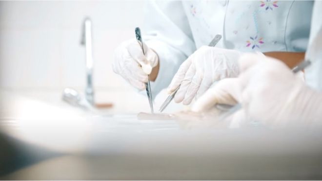 Alunos de medicina da UFJF dissecando - a foto tem foco nas mãos e não mostra a peça humana