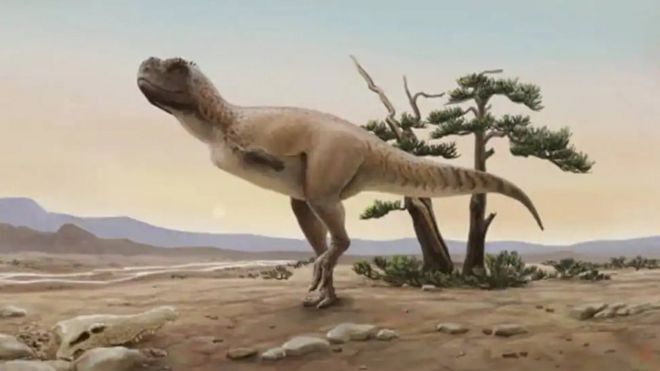 Scientists discover new dinosaur with bulldog-like face - BBC Newsround