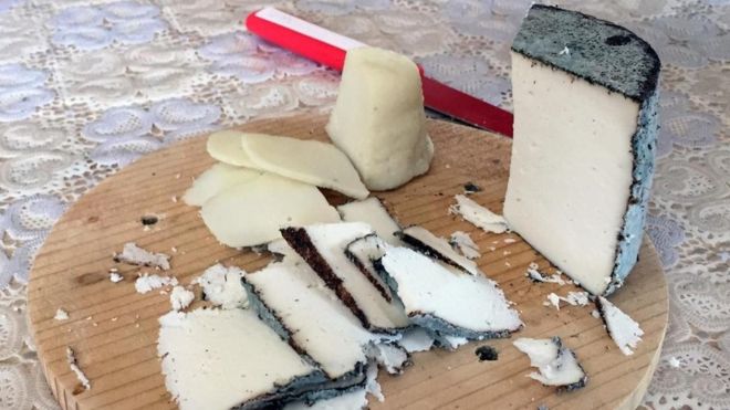 Queso de burra