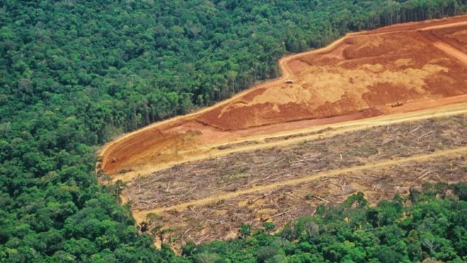 Вырубка лесов на Амазонке