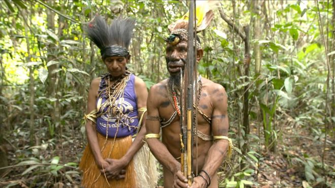 Hamparan hutan hujan terluas di Asia yang berada di Papua menghadapi ancaman serius dengan pembukaan lahan yang terjadi demi perluasan kebun kelapa sawit.