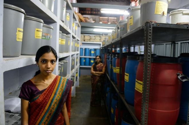 Женщины в ретрите, который готовит массажные масла в Керале