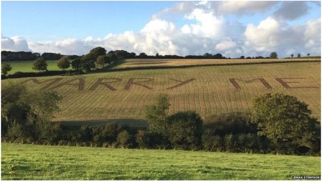 Tom Plum shredded farm owned by his lover Jeena Stimpson's father with "MARRY ME" shape to propose her