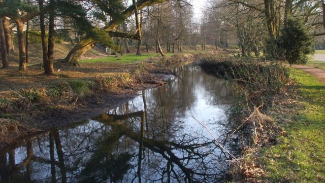 Bute Park