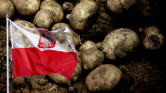картофель и польский флаг
