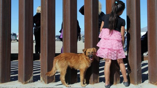 Una niña y un perro mirando a través de una valla fronteriza entre EE.UU. y México.