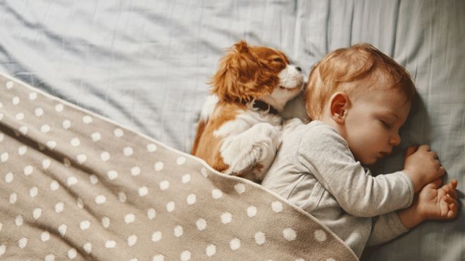 Ребенок и собака спят