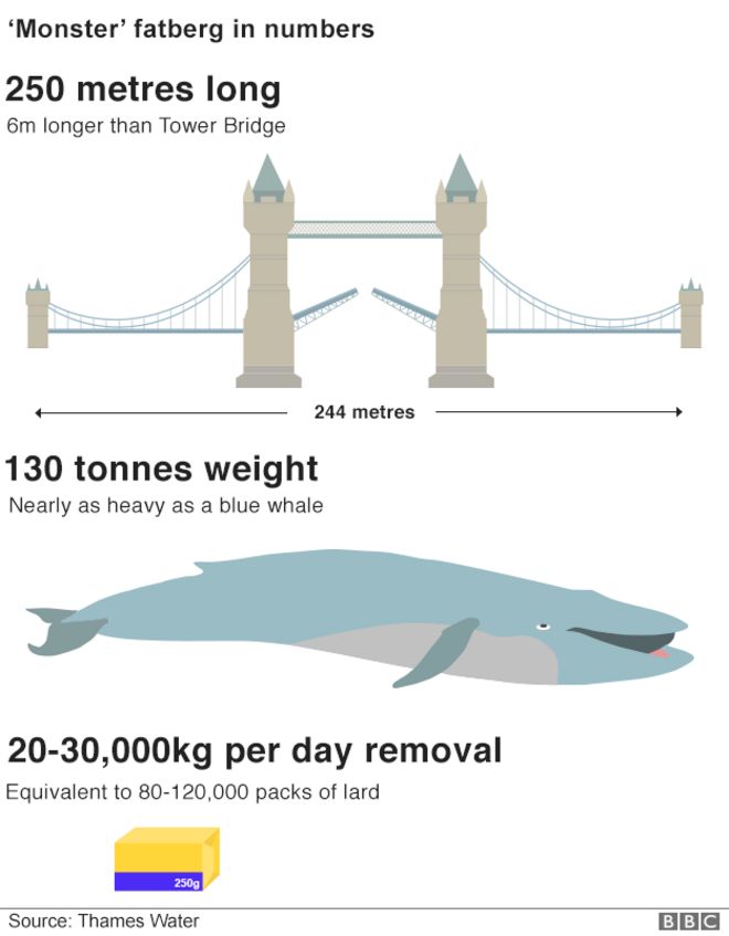 Инфографика, показывающая фатберга по сравнению с Тауэрским мостом и синим китом