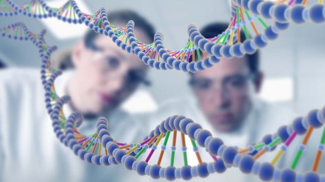 Dos científicos observa la doble hélice de ADN
