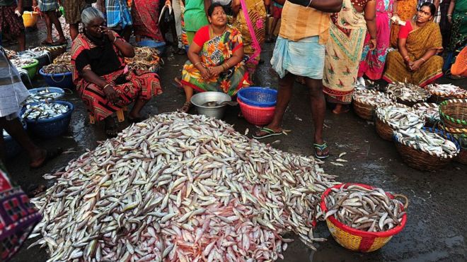 மீனவப் பெண்களின் வாழ்க்கைப்பதிவு