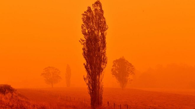 Incendio en Nueva Gales del Sur