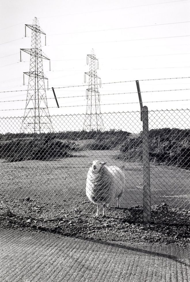 Заблокированная общественная тропа в MOD Land; Лидд, 1988