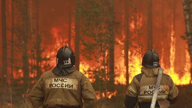Сотрудники МЧС на фоне лесного пожара