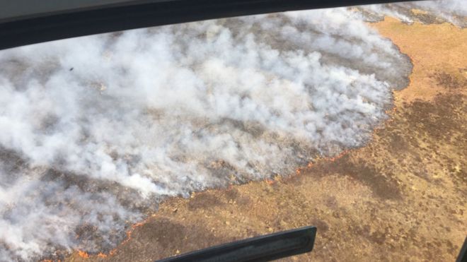 Аэрофотоснимок лесного пожара в Сазерленде