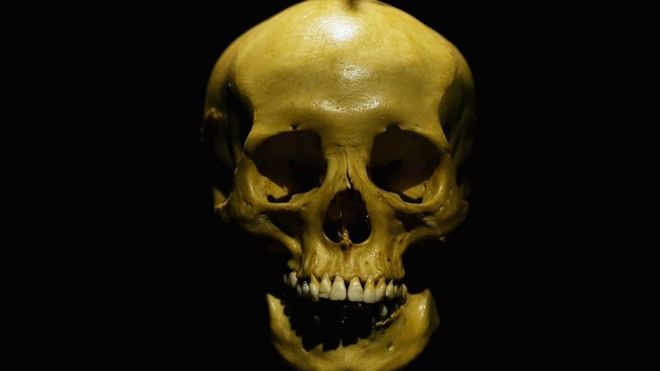 எலும்புக்கூடு