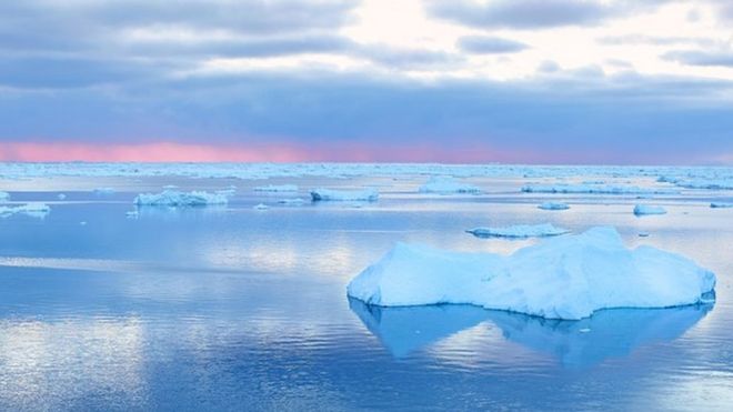 シベリアで38度を記録か 北極圏で過去最高の可能性 cニュース