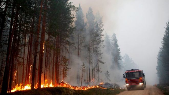 Указана жаркая погода и постоянная засуха. Этим летом в Швеции вспыхнули лесные пожары, и в качестве основных причин названы жаркая погода и постоянная засуха