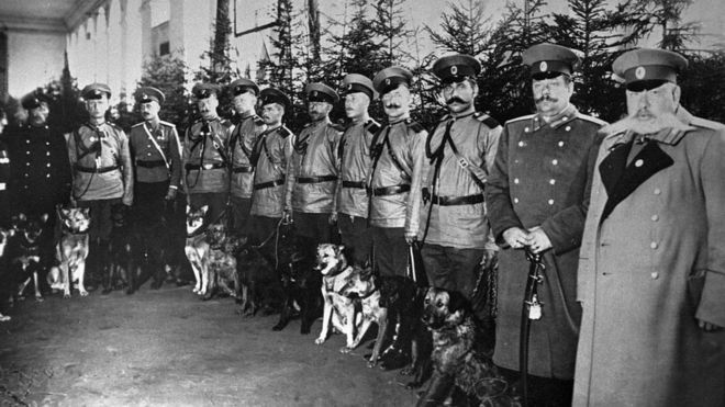 Петроградская полиция (сентябрь 1914 года)