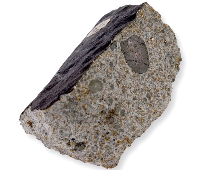 Часть метеорита Барвелла в Музее естествознания
