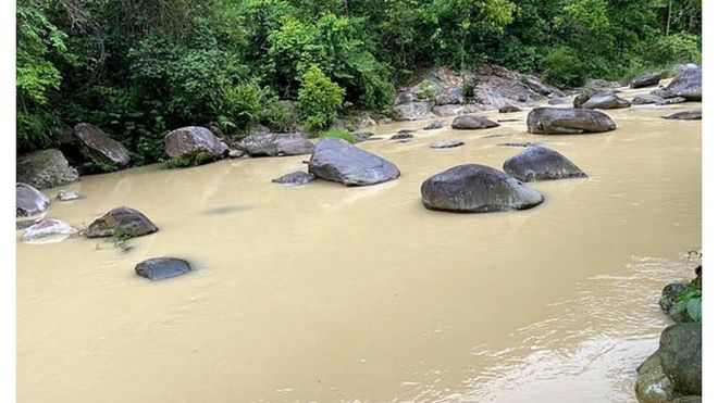 Vườn quốc gia Tam Đảo 2