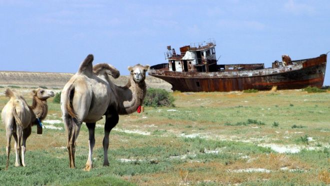Всемирный банк выделил миллионы на спасение остатков усохшего Аральского моря
