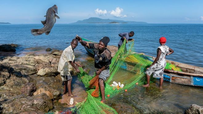 Кенийские рыбаки разгружают небольшой улов