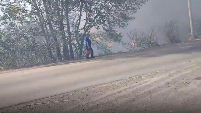 В Красноярском крае начались лесные пожары. Видео очевидцев.