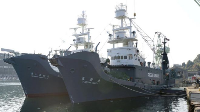 Японские китобойные суда «Юшин-Мару» и «Юшин-Мару №2» в порту Симоносеки на юго-западе Японии