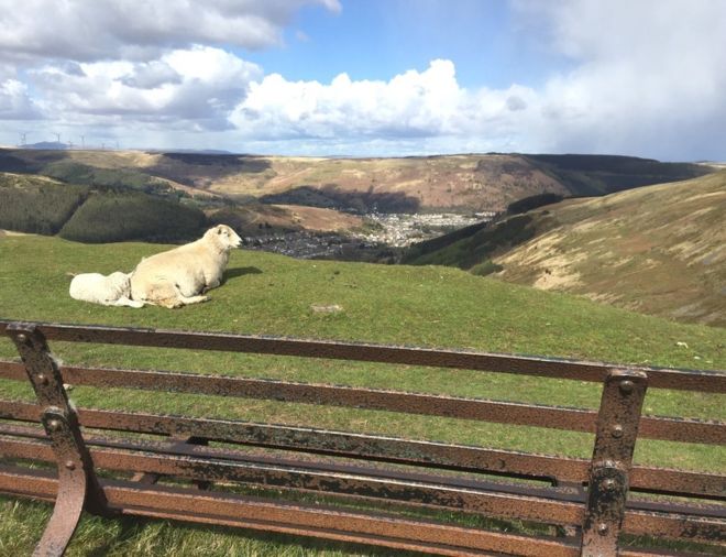 Вид на Treorchy с горы Bwlch