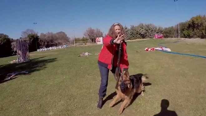 Os cachorros que protegem mulheres de parceiros violentos na Espanha