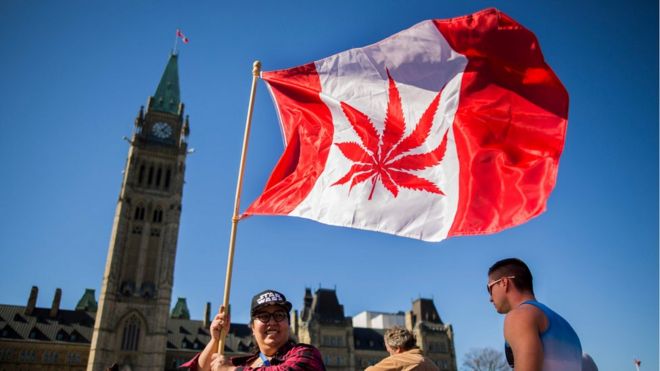 Канадец развевает национальный флаг с листом марихуаны вместо кленового листа