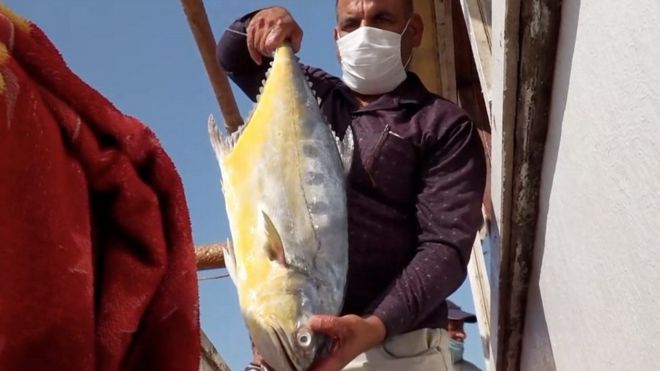 وباء كورونا "نعمة" للصيادين العراقيين VIDEO for World Service