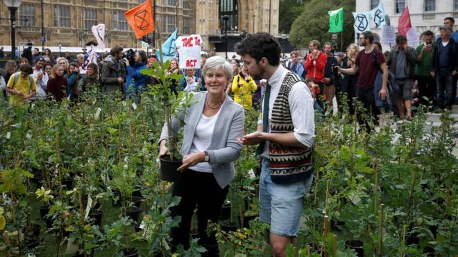 Депутат от лейбористов Кейт Грин держит саженец дерева