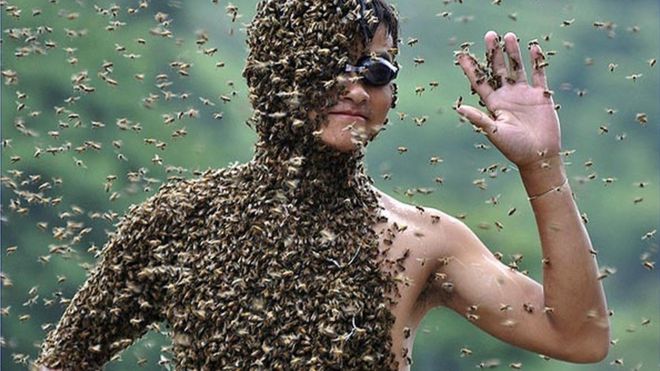 Конкурс пчеловодства