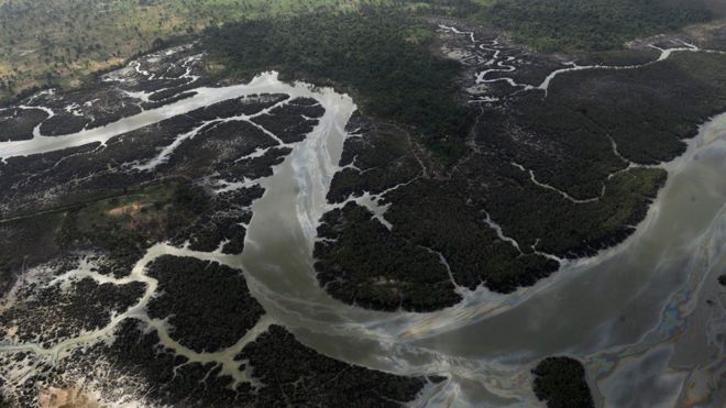Снимок из архива 2013 года, на котором изображены ручьи и растительность, опустошенные в результате разливов от нефтяных воров и эксплуатационных сбоев Shell в дельте Нигера