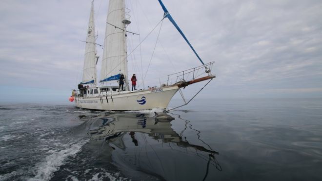 Трастовая яхта Силурийская