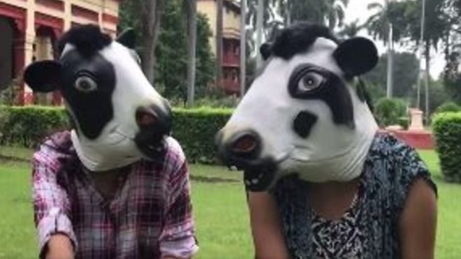 Для проекту жінки позували у коров'ячих масках.