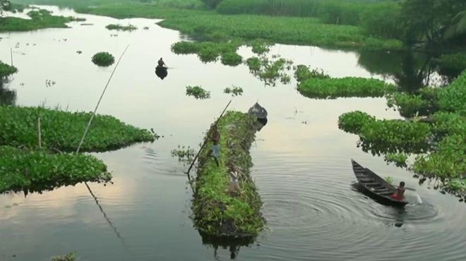 بنگلہ دیش کے تیرتے فارم
