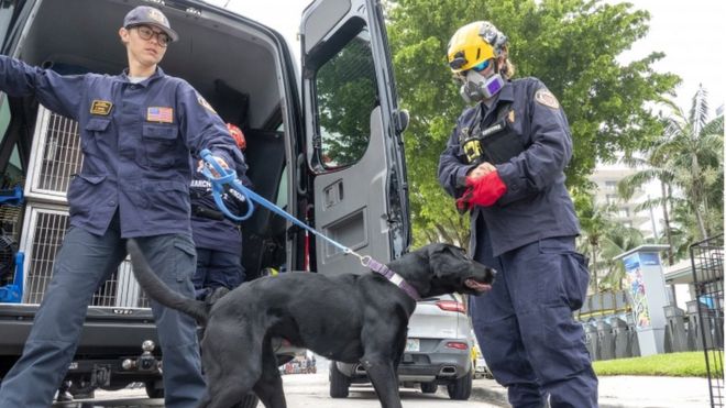 Equipos de búsqueda canina de la unidad de Búsqueda y Rescate del Cuerpo de Bomberos de Miami-Dade.