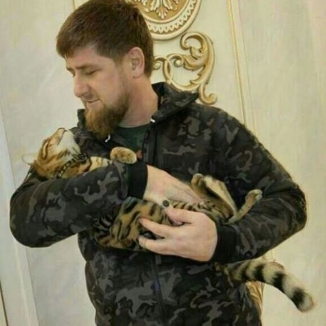 Кадыров держит кота