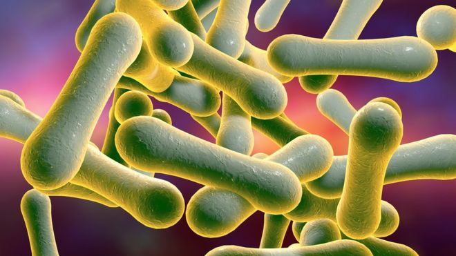 Difteria