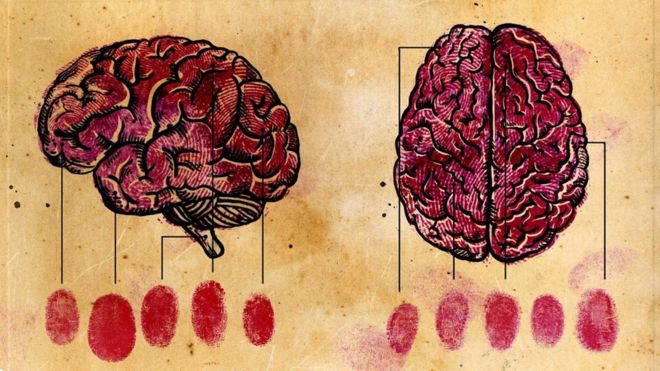 تختلف تركيبة الدماغ من شخص لآخر كاختلاف بصمات الأصابع