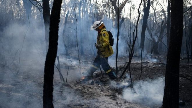A firefighter tackles bushfire in Sydney's northern suburb of South Turramurra. Photo: 12 November 2019