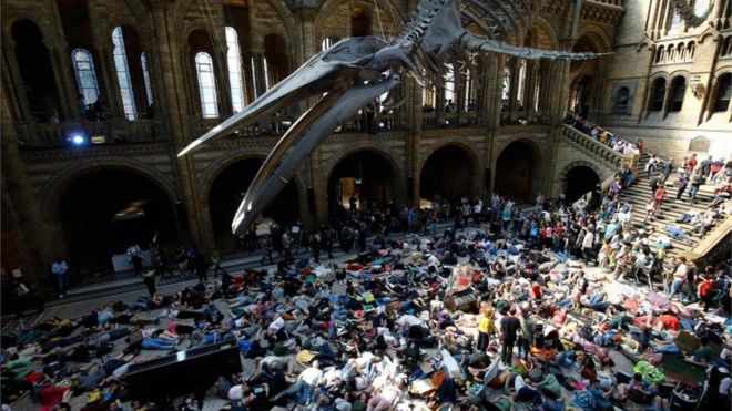 Protesters at the Natural History Museum
