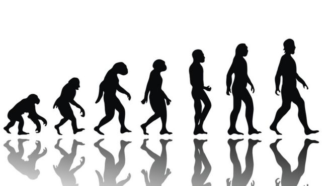 Evolución