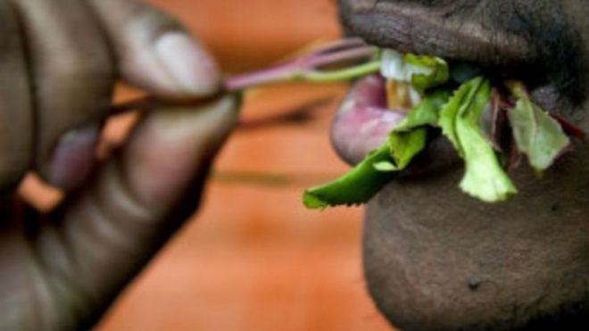 Khat